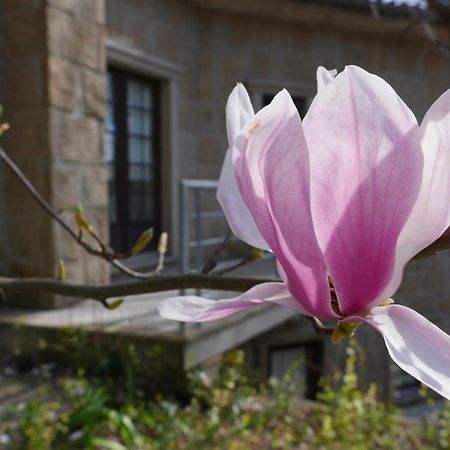 Alvores Do Tempo - Quinta De Turismo Rural Casa de hóspedes Castro Daire Exterior foto