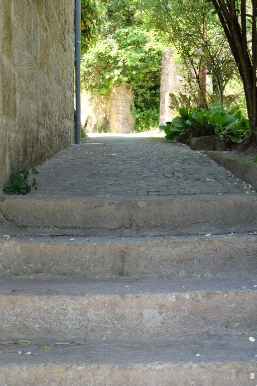 Alvores Do Tempo - Quinta De Turismo Rural Casa de hóspedes Castro Daire Exterior foto