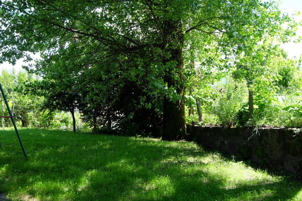 Alvores Do Tempo - Quinta De Turismo Rural Casa de hóspedes Castro Daire Exterior foto