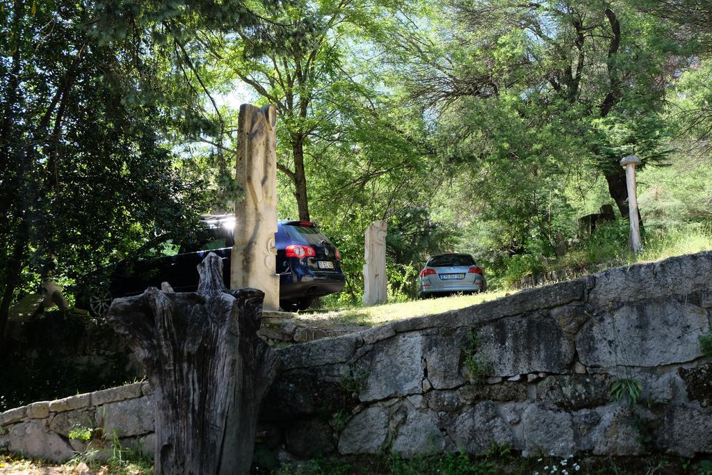 Alvores Do Tempo - Quinta De Turismo Rural Casa de hóspedes Castro Daire Exterior foto