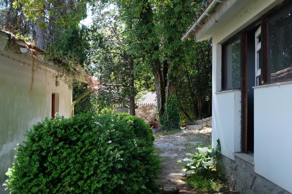 Alvores Do Tempo - Quinta De Turismo Rural Casa de hóspedes Castro Daire Exterior foto