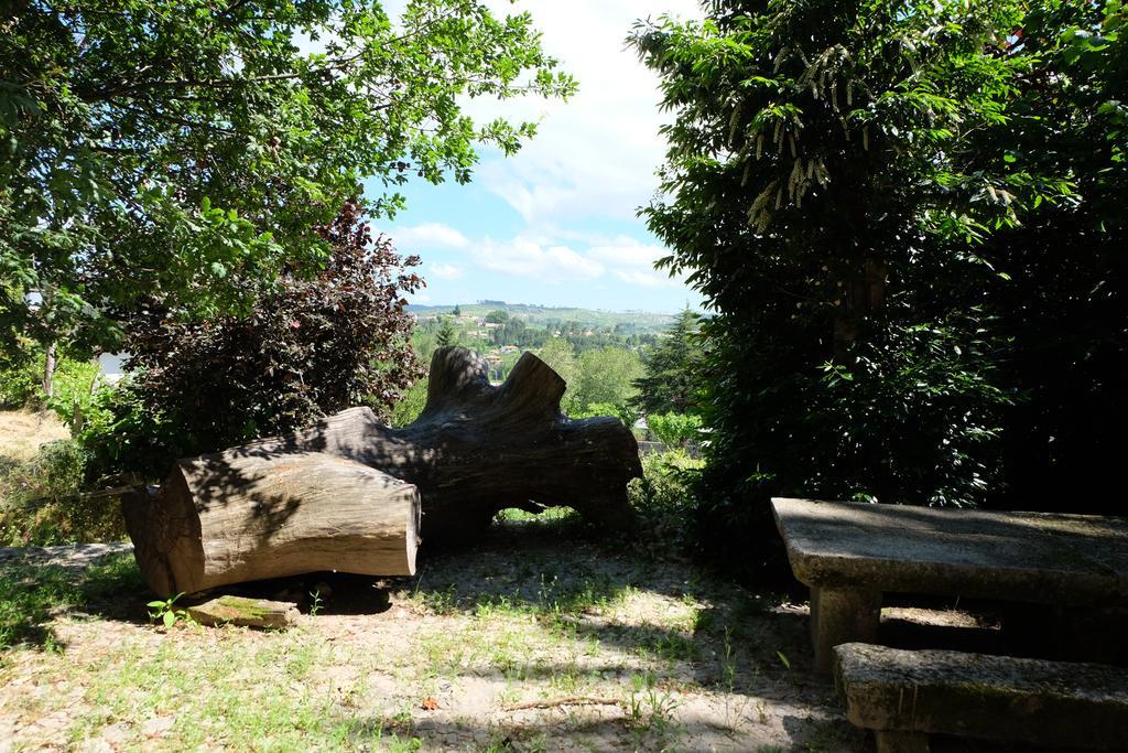 Alvores Do Tempo - Quinta De Turismo Rural Casa de hóspedes Castro Daire Exterior foto