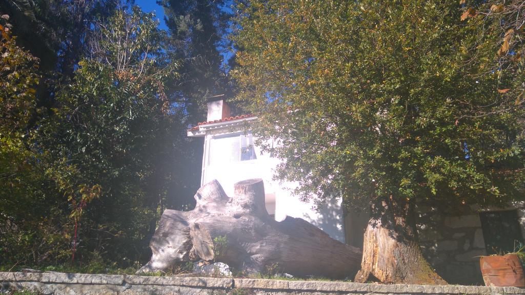 Alvores Do Tempo - Quinta De Turismo Rural Casa de hóspedes Castro Daire Exterior foto