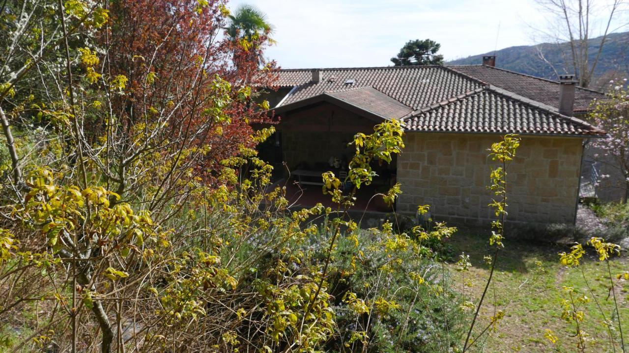 Alvores Do Tempo - Quinta De Turismo Rural Casa de hóspedes Castro Daire Exterior foto